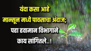 Rain in Mansoon 2024